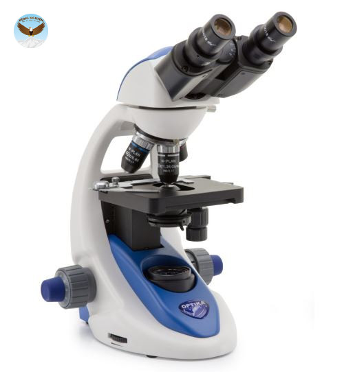 KÍNH HIỂN VI SINH HỌC Optika B-192 PL